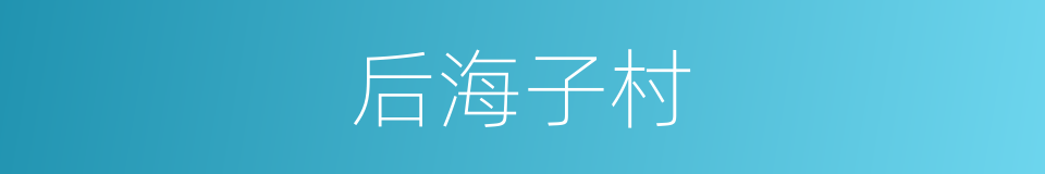 后海子村的同义词