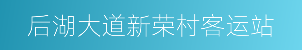 后湖大道新荣村客运站的同义词