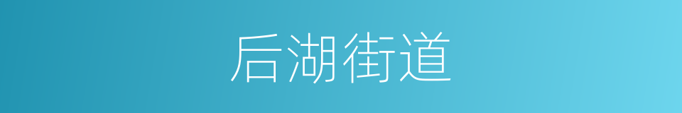 后湖街道的同义词