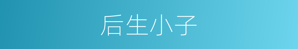 后生小子的意思