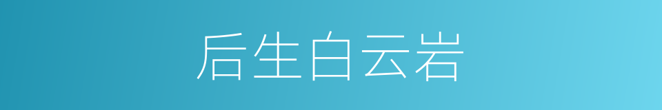 后生白云岩的同义词