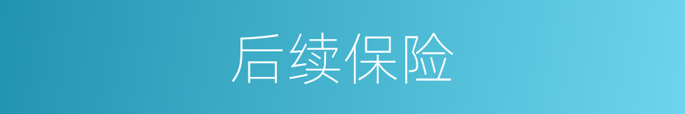 后续保险的同义词