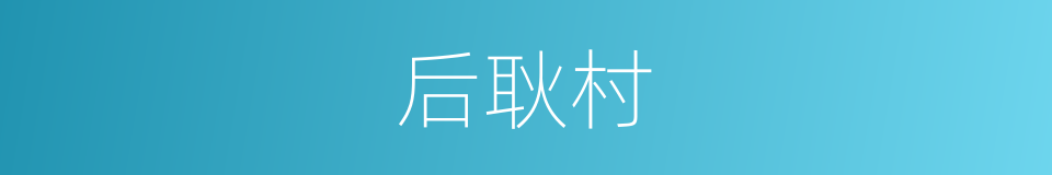 后耿村的同义词