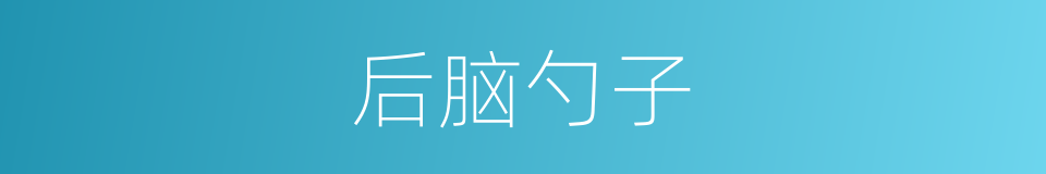 后脑勺子的意思
