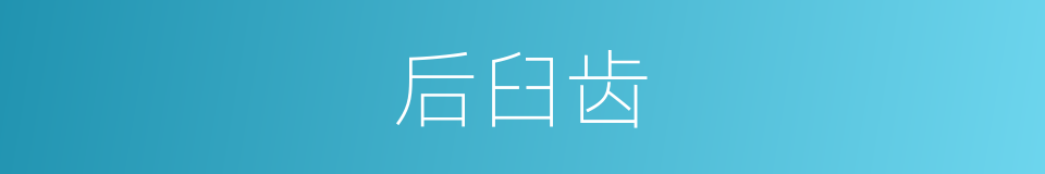 后臼齿的同义词