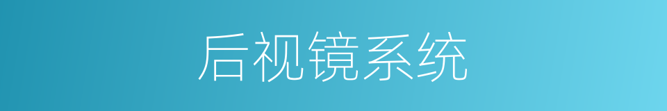 后视镜系统的同义词