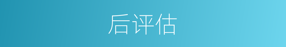 后评估的同义词