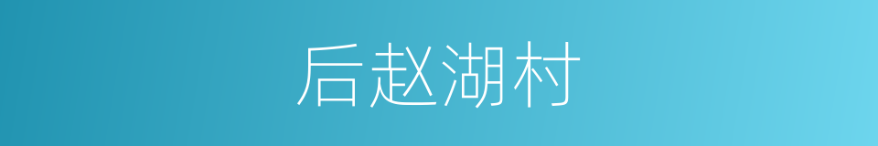 后赵湖村的同义词