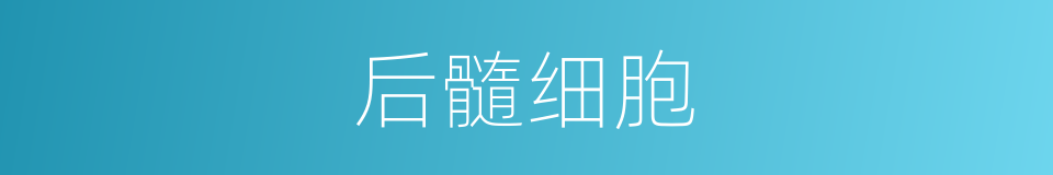 后髓细胞的意思