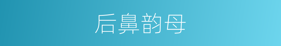后鼻韵母的意思