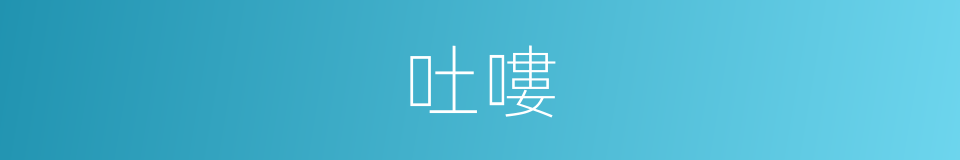吐嘍的意思
