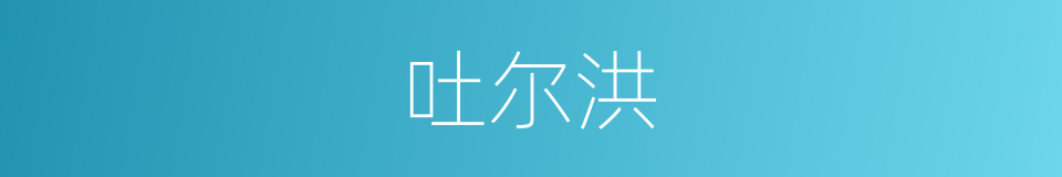 吐尔洪的同义词