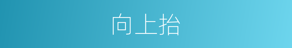 向上抬的同义词
