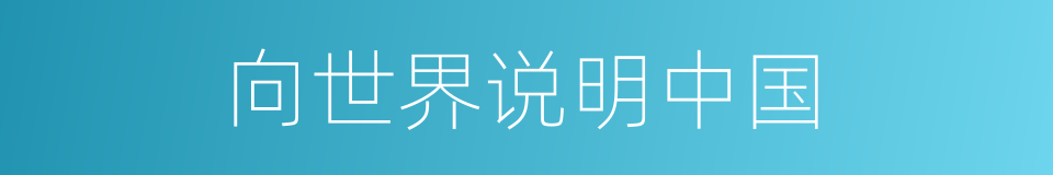 向世界说明中国的同义词