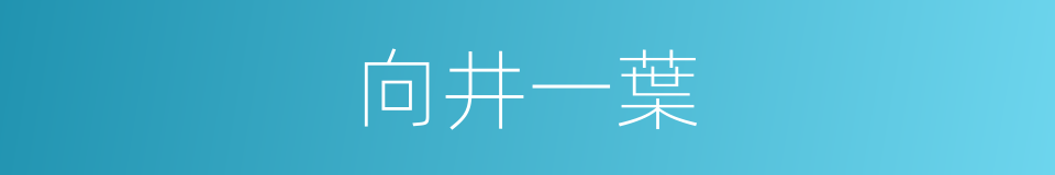 向井一葉的同義詞