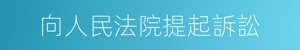 向人民法院提起訴訟的同義詞