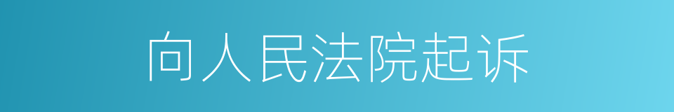 向人民法院起诉的同义词