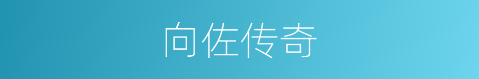 向佐传奇的同义词