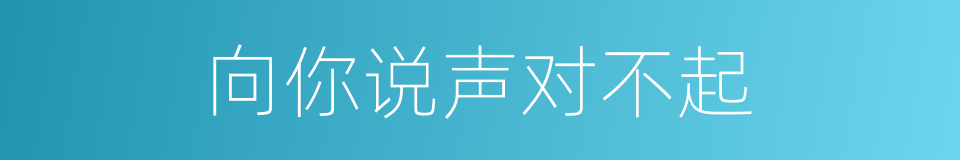 向你说声对不起的同义词