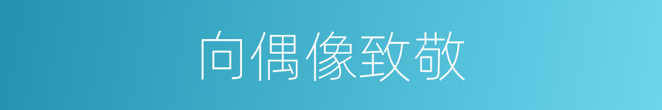 向偶像致敬的同义词