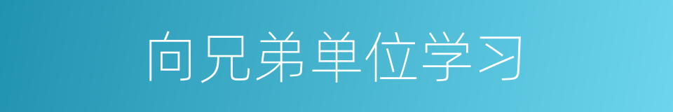 向兄弟单位学习的同义词