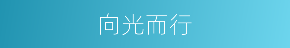 向光而行的同义词
