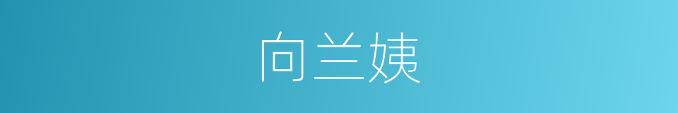 向兰姨的同义词