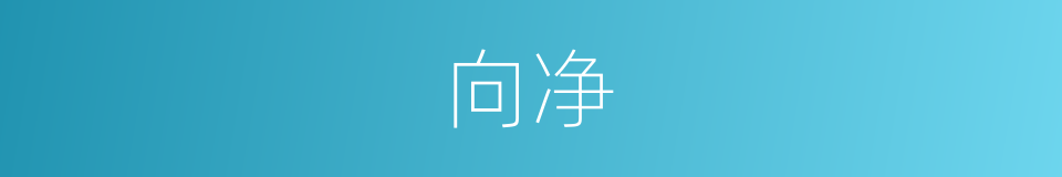 向净的同义词