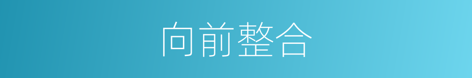 向前整合的同义词