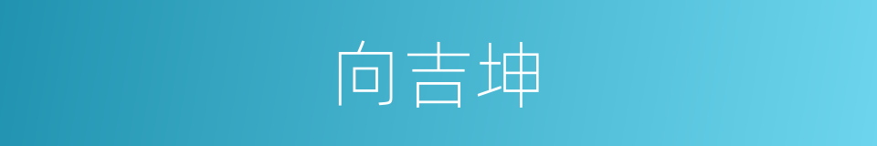 向吉坤的同义词