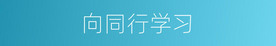 向同行学习的同义词