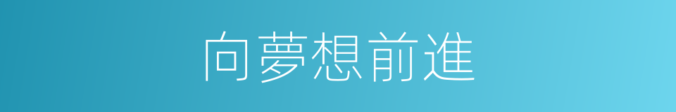 向夢想前進的同義詞