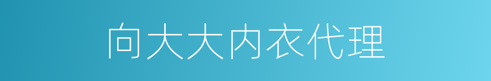 向大大内衣代理的同义词