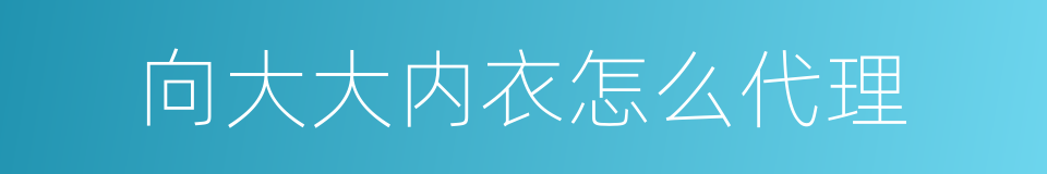 向大大内衣怎么代理的同义词