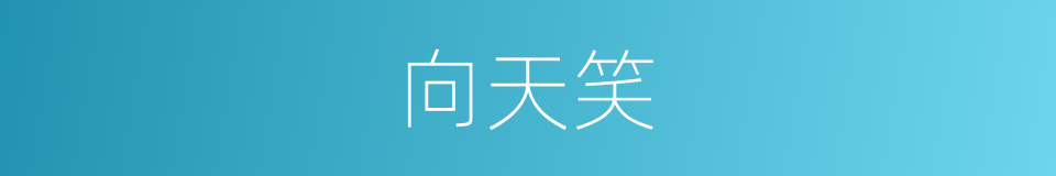 向天笑的同义词