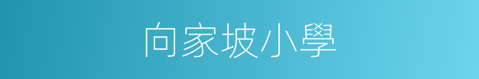 向家坡小學的同義詞