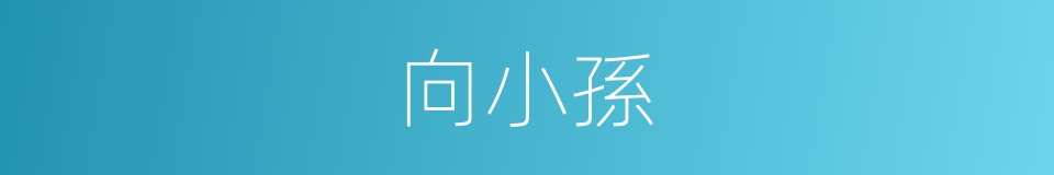 向小孫的同義詞