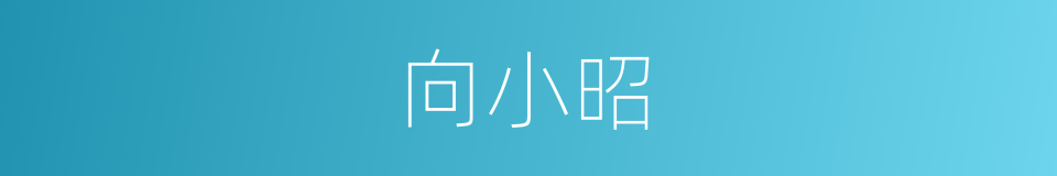 向小昭的同义词