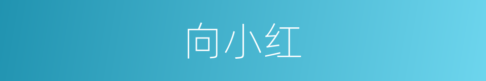 向小红的同义词