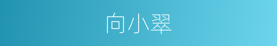 向小翠的同义词