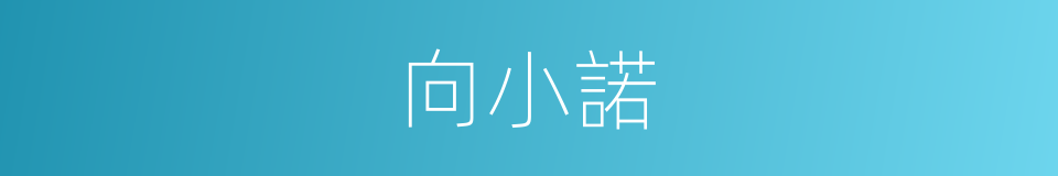 向小諾的同義詞