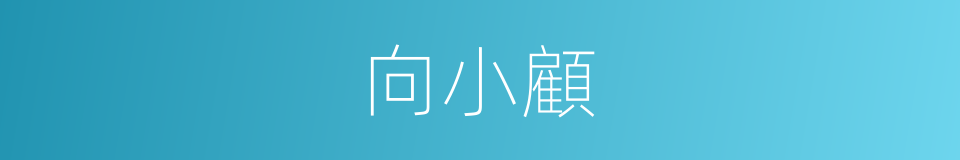 向小顧的同義詞