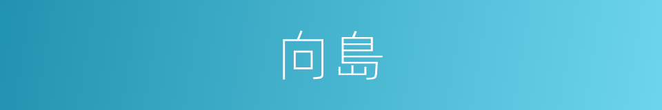 向島的同義詞