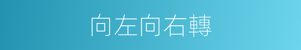 向左向右轉的同義詞