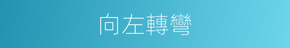 向左轉彎的同義詞