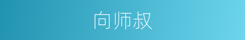 向师叔的同义词