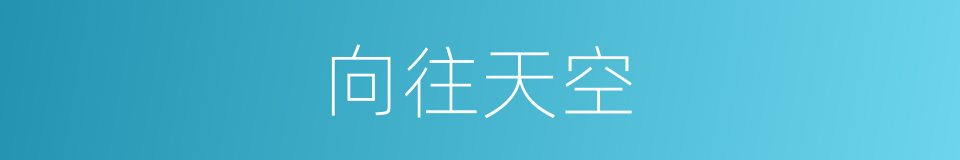 向往天空的同义词