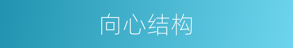 向心结构的意思