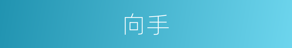 向手的同义词