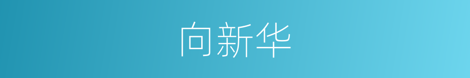 向新华的同义词